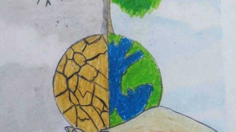 全口种植牙国产种植体：了解其批发报价之前，这些知识你不可不知**