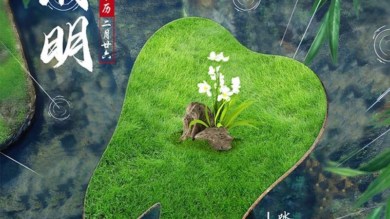 洗牙：揭秘牙齿清洁的真相